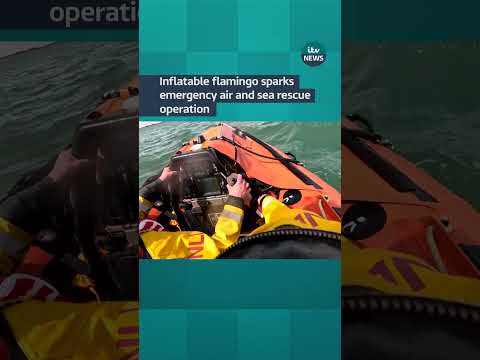 Inflatable flamingo sparks search and rescue operation | ITV News