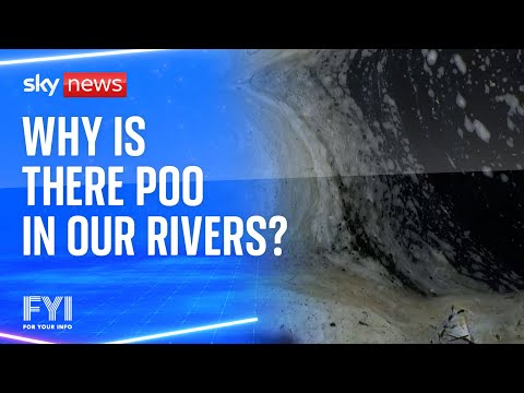 FYI: Why is there poo in our rivers?