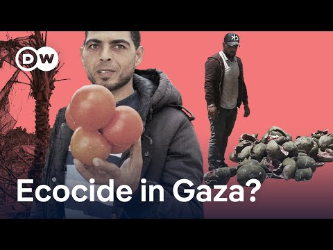 Will Gazans ever be able to produce their own food again? | DW News
