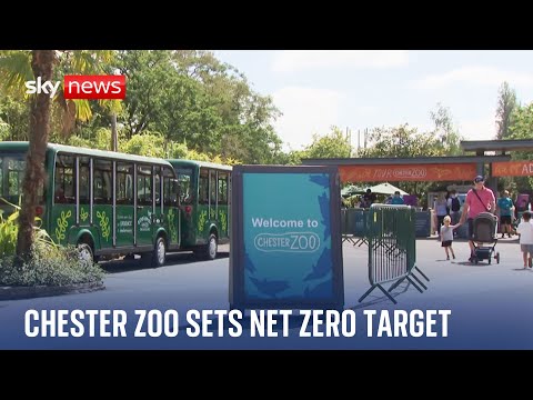 Chester Zoo sets target to reach net zero by 2030