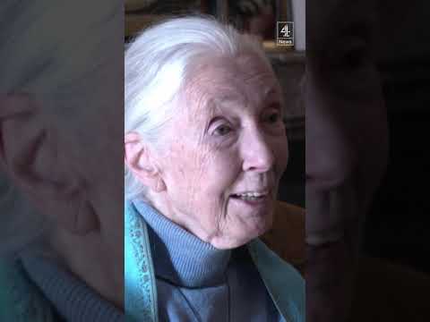 ‘My next great adventure at 90 is dying’ – Jane Goodall
