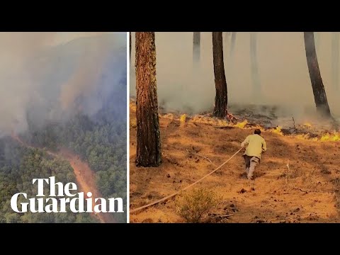 Firefighters tackle wildfires in south-west Turkey