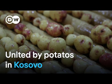 Kosovo: Potato chips bring Serbs and Albanians together | DW Mews