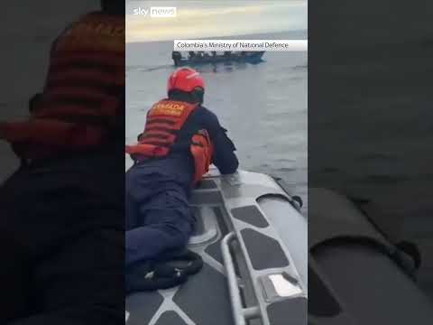 Whale saved after getting trapped in net