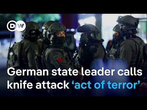 Manhunt continues after Solingen stabbings | DW News