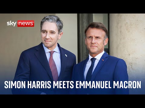 Irish Prime Minister Simon Harris meets with French President Emmanuel Macron in Paris
