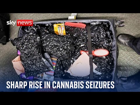 Drastic increase in cannabis seizures at British airports
