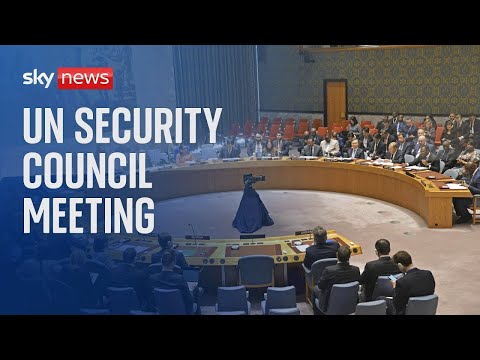 Watch live: United Nations Security Council meeting | international peace and security