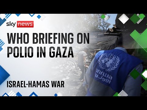 Watch live: WHO briefing on polio vaccine campaign in Gaza