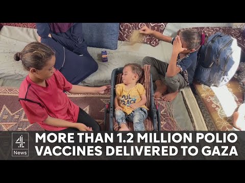 News update: Israel agrees to pause fighting in Gaza for polio vaccine drive