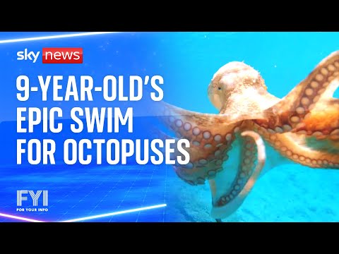 FYI: Nine-year-old swims 2km to raise awareness of octopuses