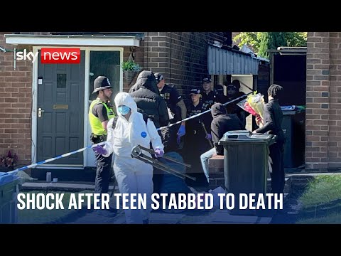 Neighbours in shock after 13-year-old is stabbed to death in his home