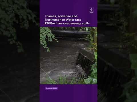 Thames, Yorkshire and Northumbrian Water face £168m fines over sewage spills