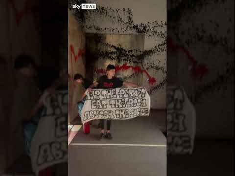 Climate activists vandalise Messi’s home