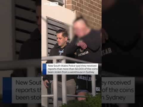 Man charged with theft of Bluey coins