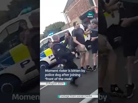 Moment rioter is bitten by police dog after joining ‘front of the mob’ #itvnews #news #riot