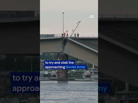Bridge collapses into river in Germany’s Dresden | DW News