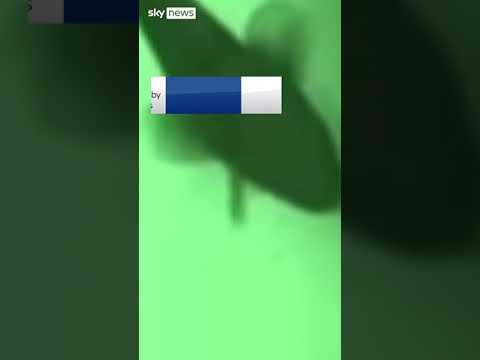 Eel swims out of fish’s gills