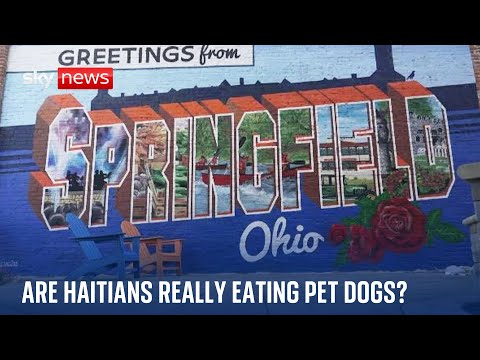Are Haitian migrants really eating Springfield’s pet dogs and cats? | US Election 2024