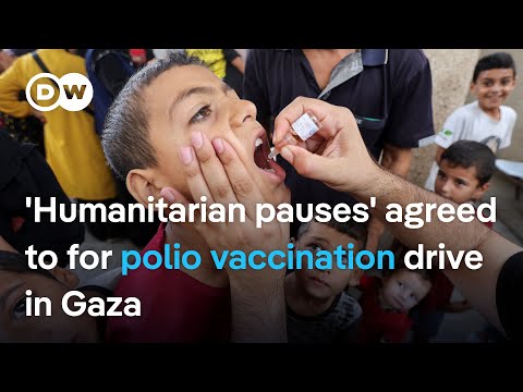 Gaza: What are the biggest hurdles to vaccinating 640,000 children in a 3-day period? | DW News