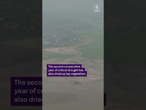 Amazon water levels see all-time low