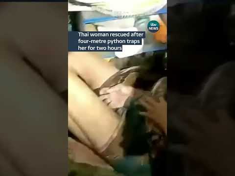Thai women was rescued after being trapped by a four-metre python for two hours #itvnews #shorts