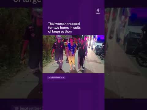 Thai woman escapes death by python