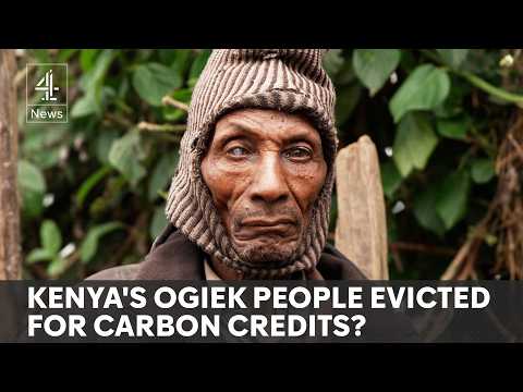 Kenya’s push for carbon capture profit threatens indigenous forest people