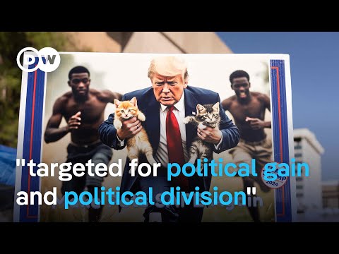 Springfield, Haitians, cats, and the election: What’s really been going on | DW News