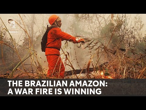 On the frontline of raging fires in the Brazilian Amazon