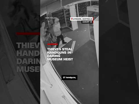 Thieves steal handguns in daring museum heist