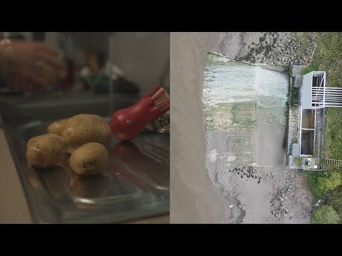Residents near chemical factory told to wash and peel homegrown vegetables | ITV News