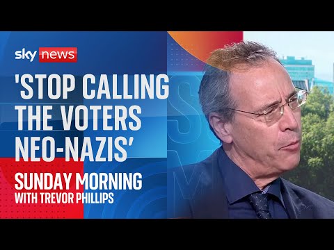 ‘Stop calling voters neo-Nazis and take them seriously’ says German ambassador to UK