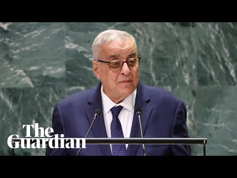 Lebanon in ‘crisis’ that threatens its very existence, foreign minister tells UN