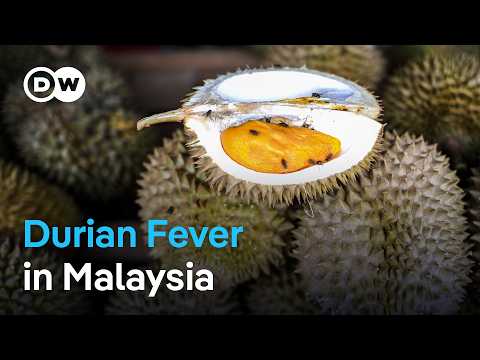A Spiky Delicacy Sees Explosive Sales Boost from China | DW News