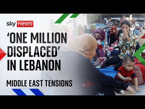 Lebanon faces ‘catastrophic humanitarian situation’ | Israel-Hezbollah conflict