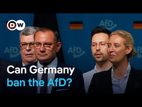 What quelling the far-right AfD party could mean for German democracy | DW News