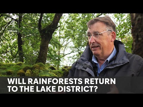 Nature takes back control in the Lake District