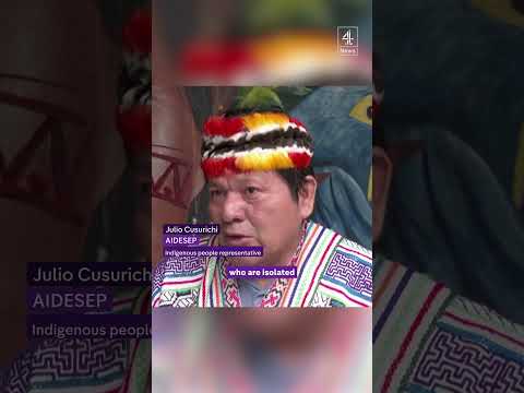 Indigenous people kill loggers with bow and arrow