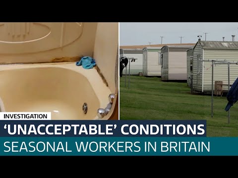 Seasonal workers on British farms being given ‘unhealthy and dangerous’ accommodation | ITV News