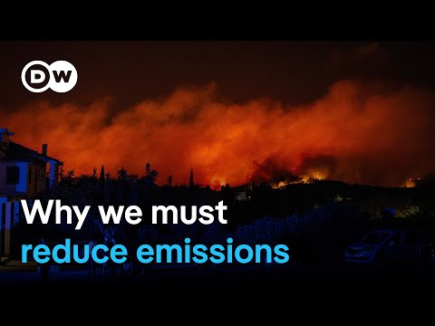Why summer 2024 was hottest on record in northern hemisphere | DW News