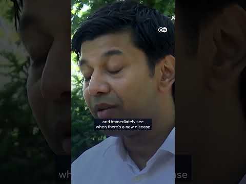 Gorillas in Berlin zoo take part in AI project | DW News