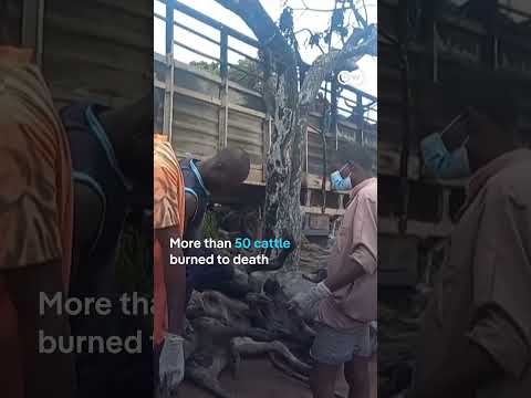 Tanker explosion in Nigeria leaves dozens dead | DW News