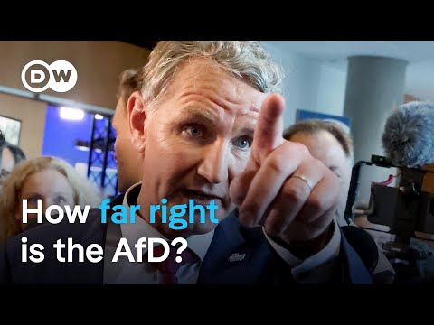 Will Germany’s political ‘firewall’ against the far-right AfD hold? | DW News