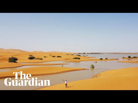 Drone footage shows rare flooding in the Sahara desert