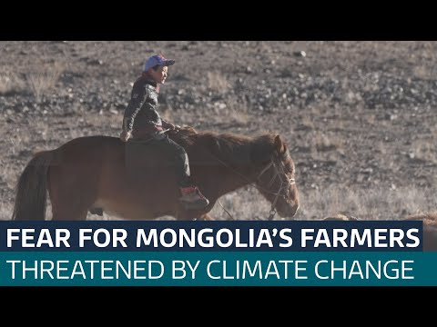 How drought is threatening Mongolia’s traditional way of life | ITV News