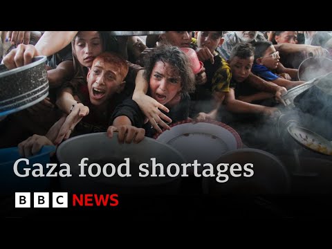 US says “policy of starvation” in Gaza would be “horrific and unacceptable” | BBC News