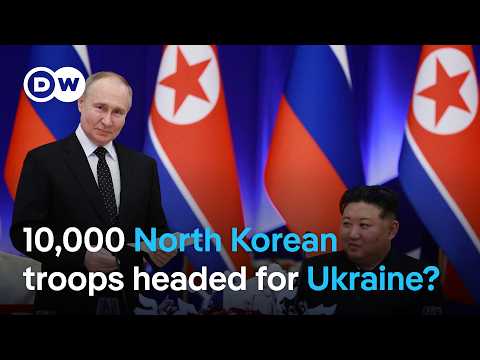 Zelenskyy: North Korean troop support for Russia could spark ‘world war’ | DW News