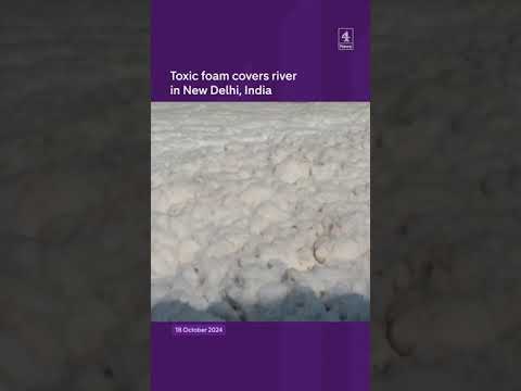 Toxic foam covers river in India