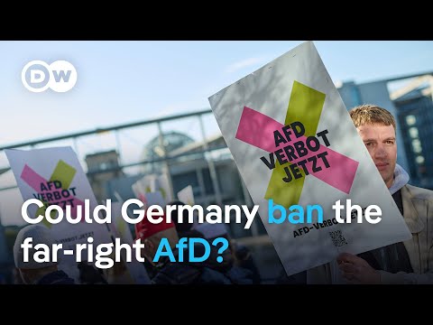German lawmakers want to ban the far-right AfD party | DW News